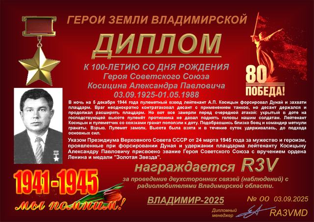 Диплом памяти Александра Косицина · 1